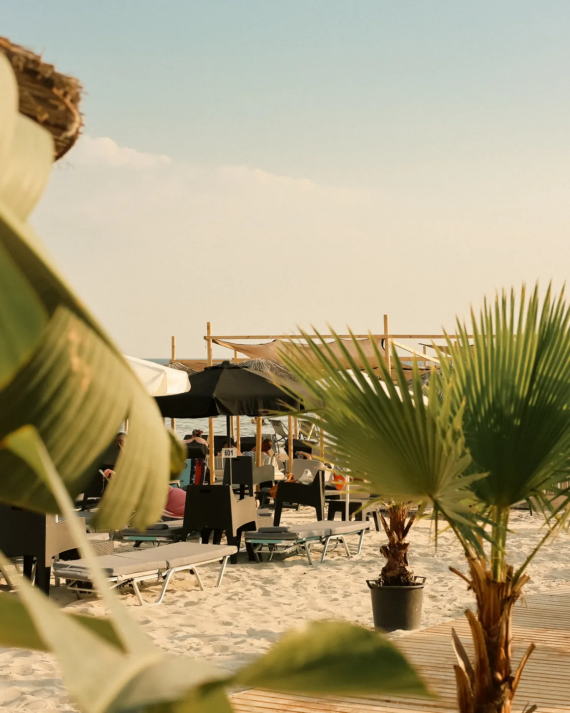 View of the beach through palm leaves, with umbrellas, sunbeds and the sea